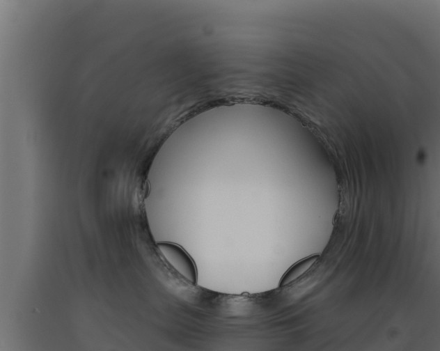 X0000093510287200710121109