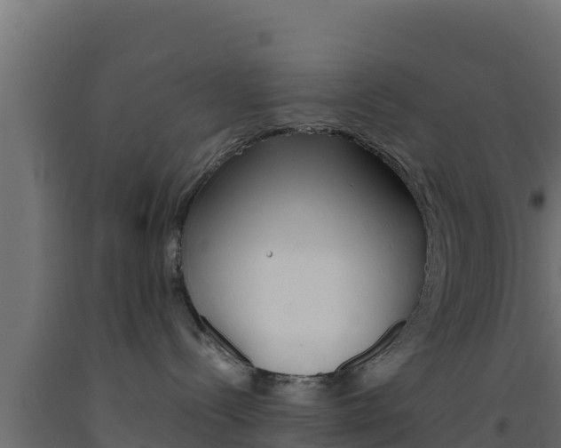 X0000093510288200710121109