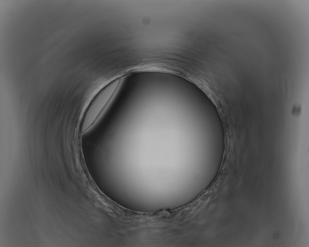 X0000093510289200710121109