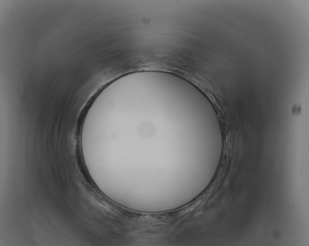 X0000093510290200710121109