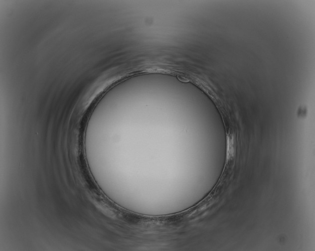 X0000093510291200710121109