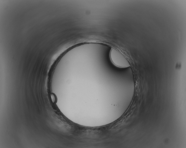 X0000093510292200710121109