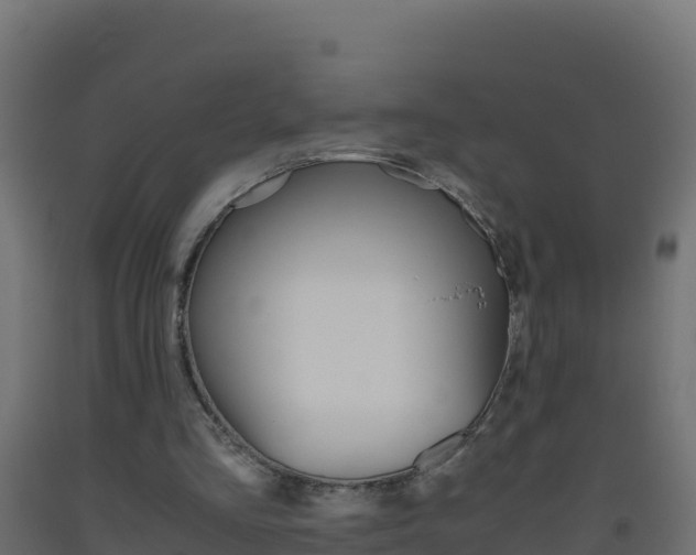X0000093510293200710121109