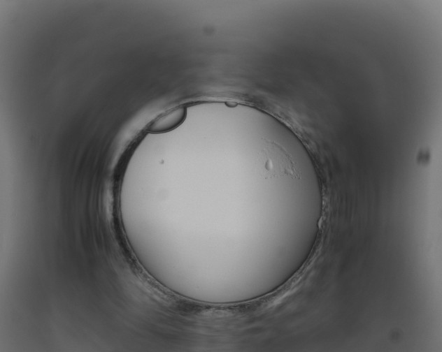 X0000093510294200710121109