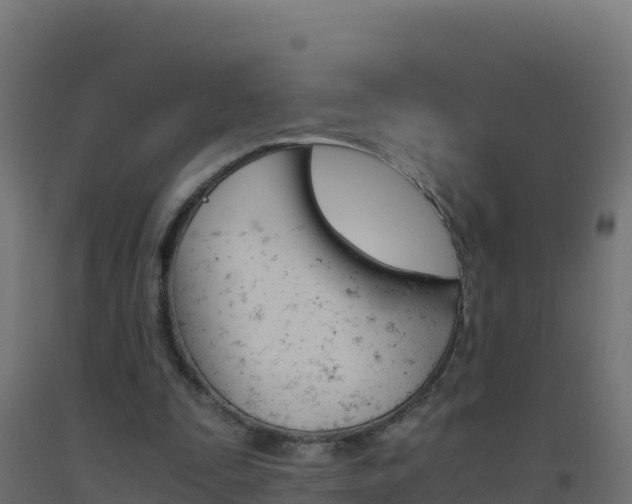 X0000093510295200710121109