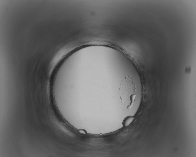 X0000093510296200710121109