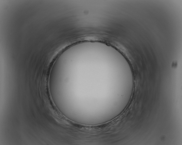 X0000093510297200710121109