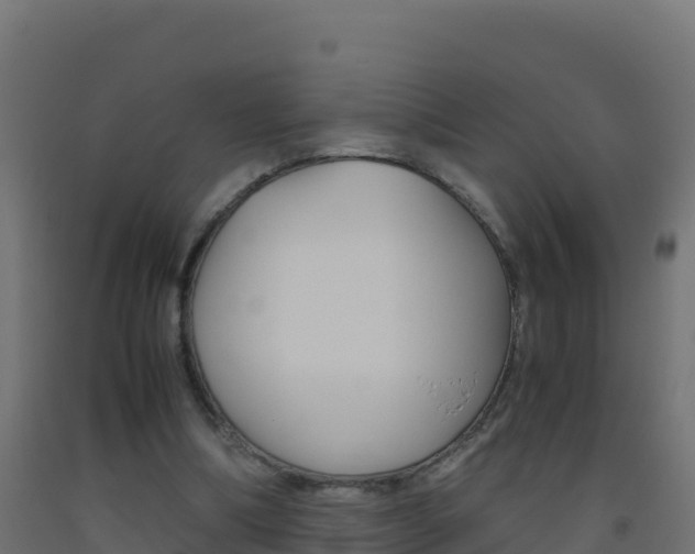 X0000093510298200710121109
