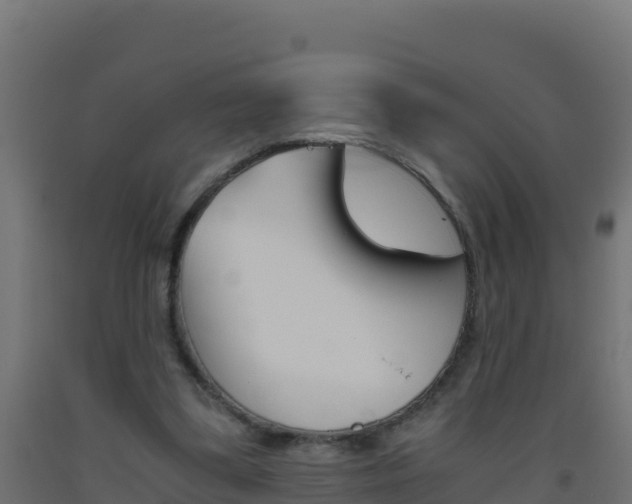 X0000093510299200710121109