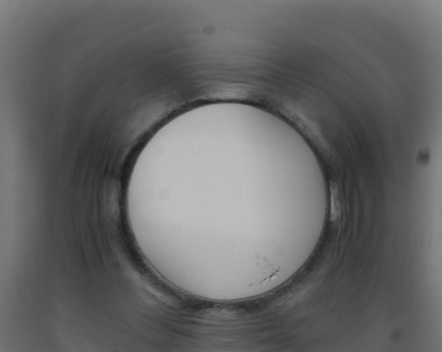 X0000093510300200710121109