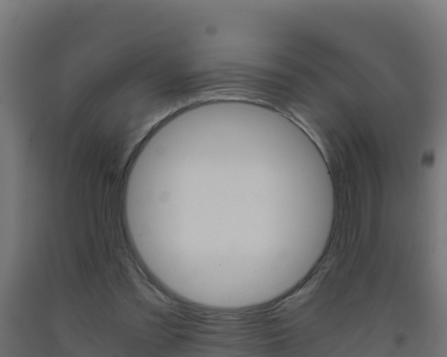 X0000093510301200710121109