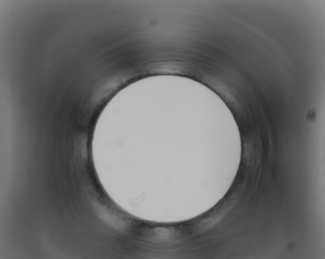X0000093510302200710121108