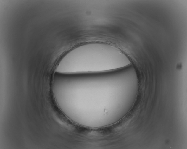 X0000093510303200710121108