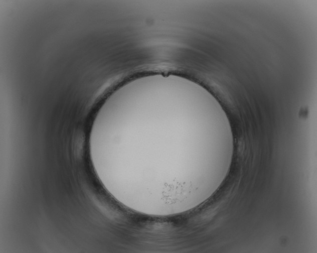 X0000093510304200710121108
