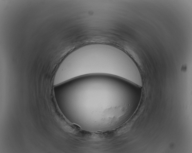 X0000093510305200710121108