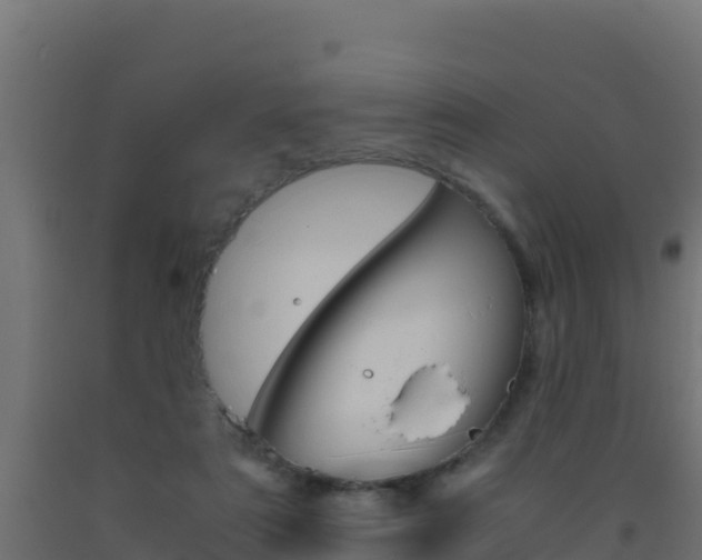 X0000093510307200710121108