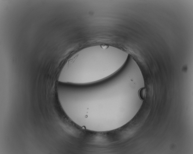 X0000093510308200710121108