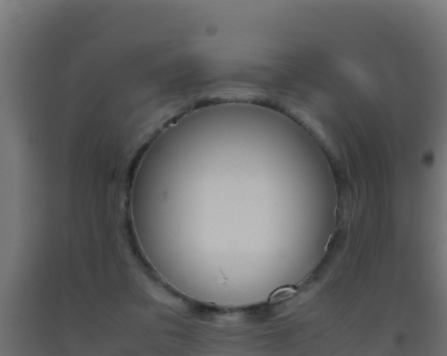 X0000093510309200710121108