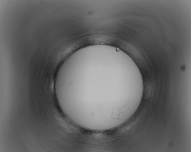 X0000093510310200710121108