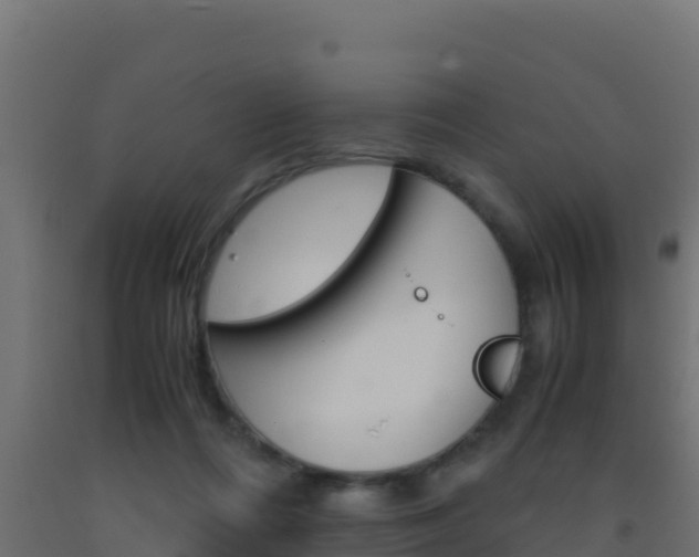 X0000093510312200710121108