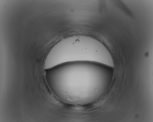 X0000093510313200710121108
