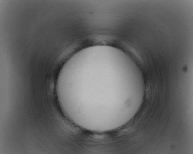 X0000093510314200710121108