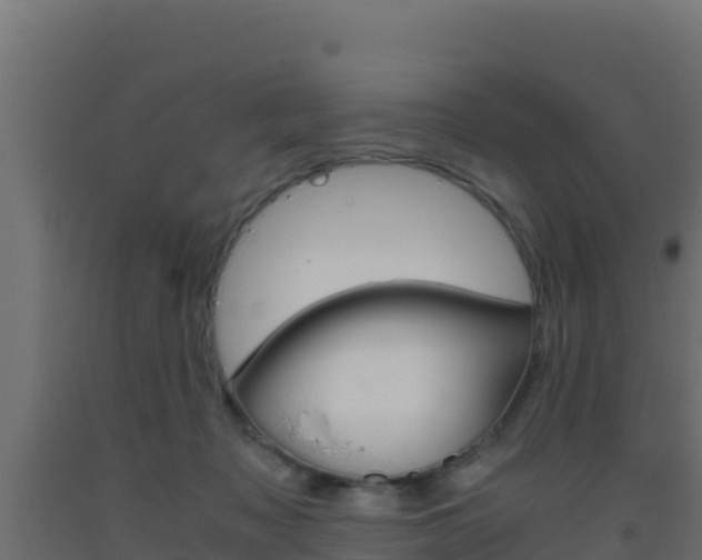 X0000093510317200710121108