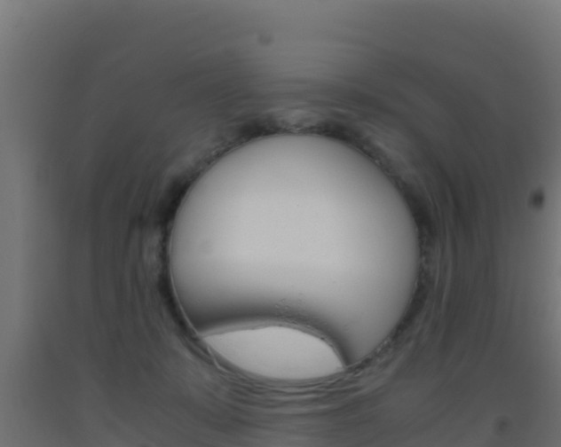 X0000093510319200710121108