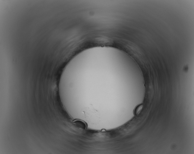 X0000093510320200710121108