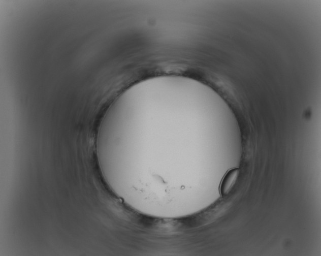 X0000093510321200710121108