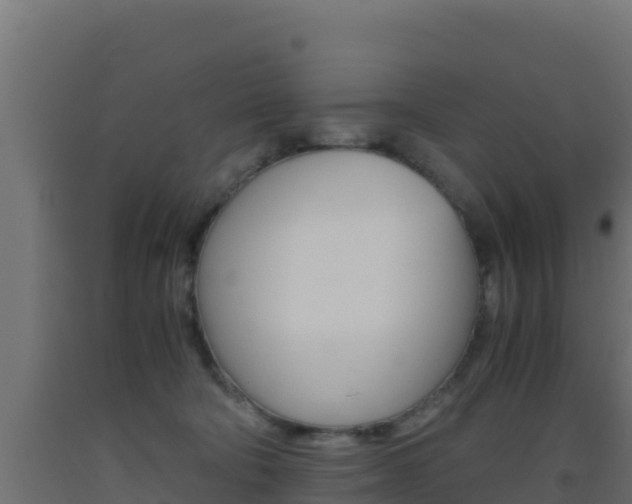 X0000093510322200710121108