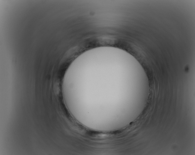 X0000093510323200710121108