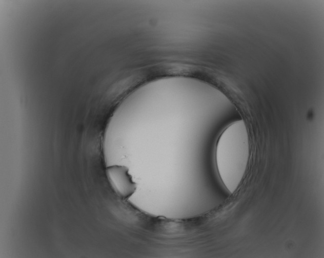 X0000093510325200710121108
