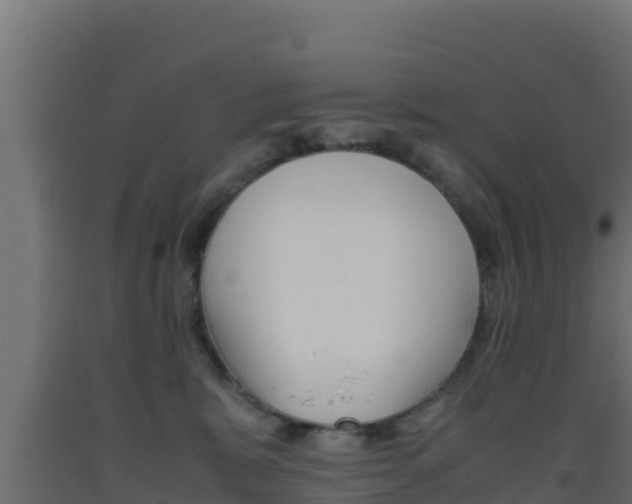 X0000093510327200710121108