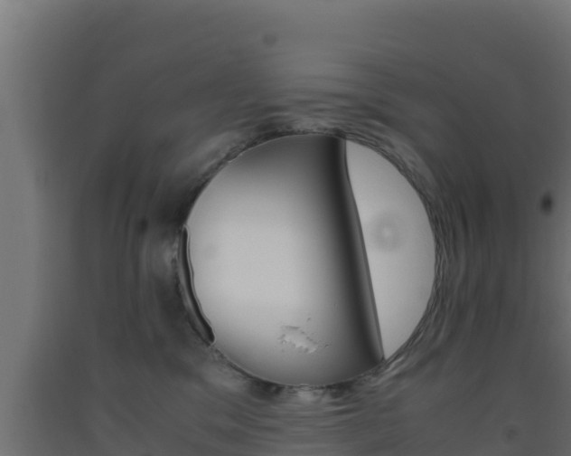 X0000093510329200710121108