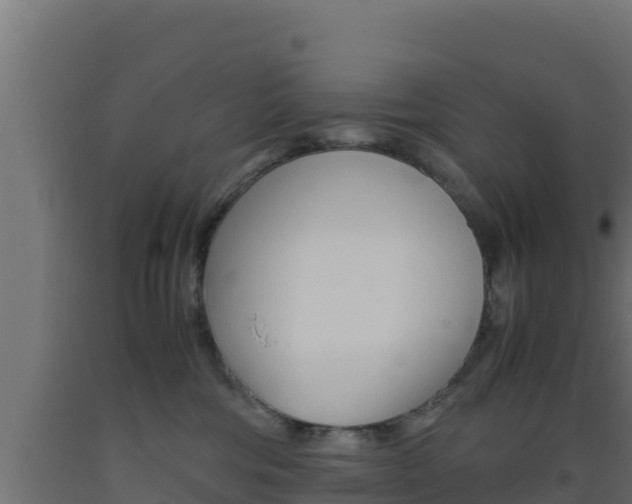 X0000093510330200710121108