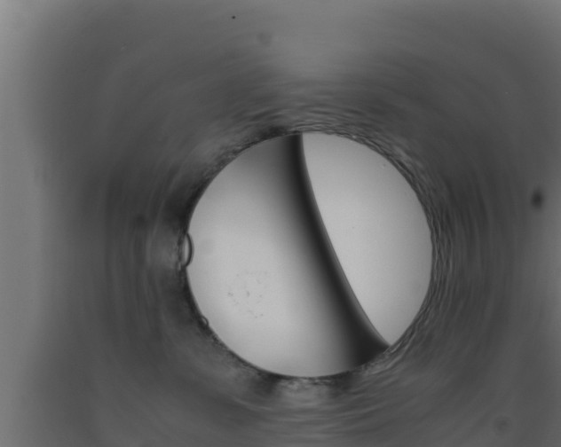 X0000093510331200710121108