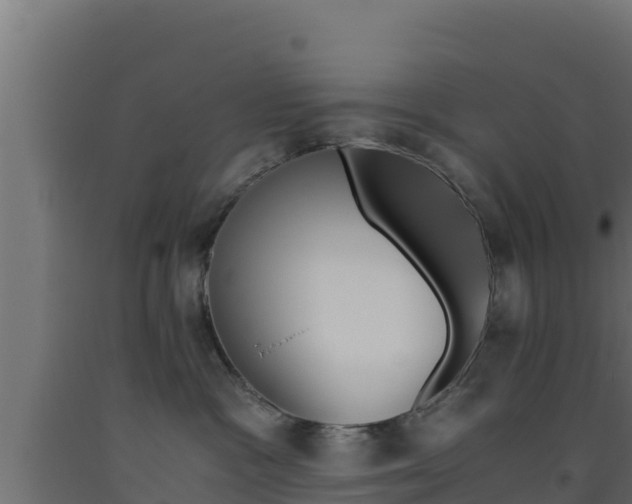 X0000093510333200710121108