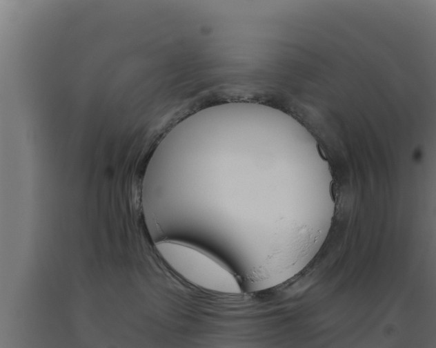 X0000093510335200710121108