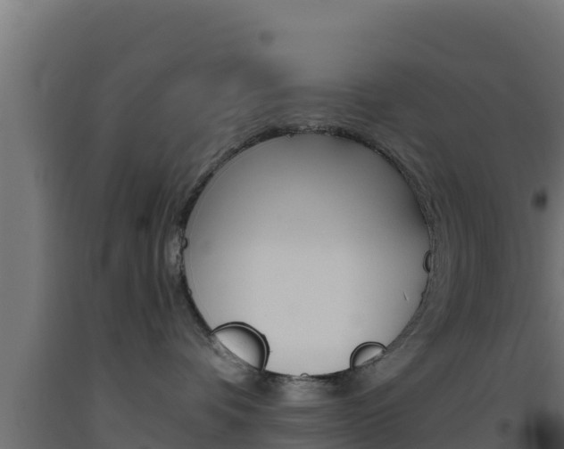 X0000093510336200710121108