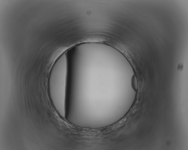 X0000093510337200710121107