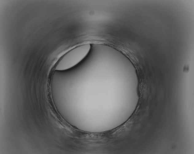 X0000093510338200710121107