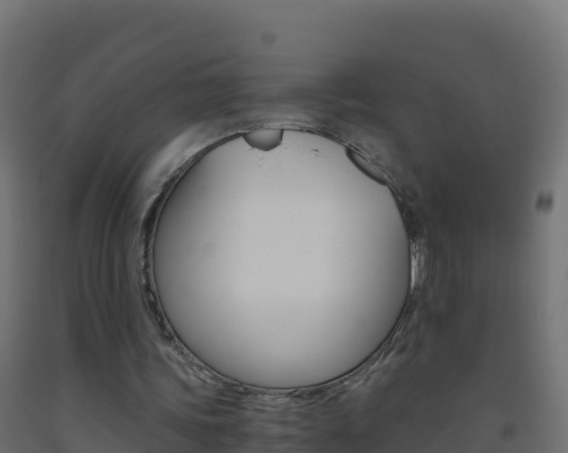 X0000093510339200710121107