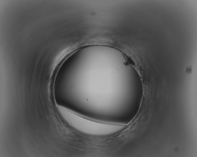 X0000093510340200710121107