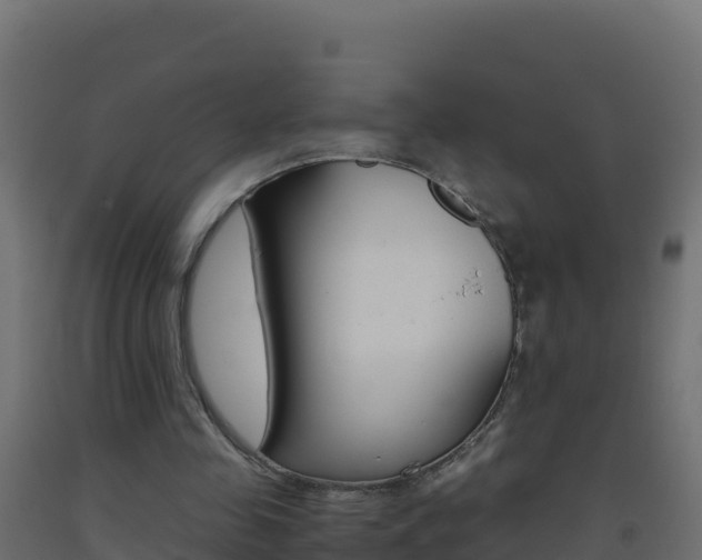 X0000093510341200710121107