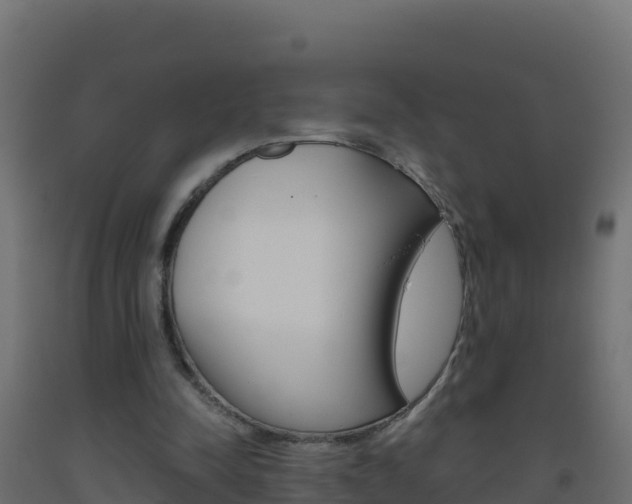 X0000093510342200710121107