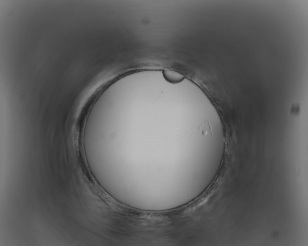 X0000093510343200710121107