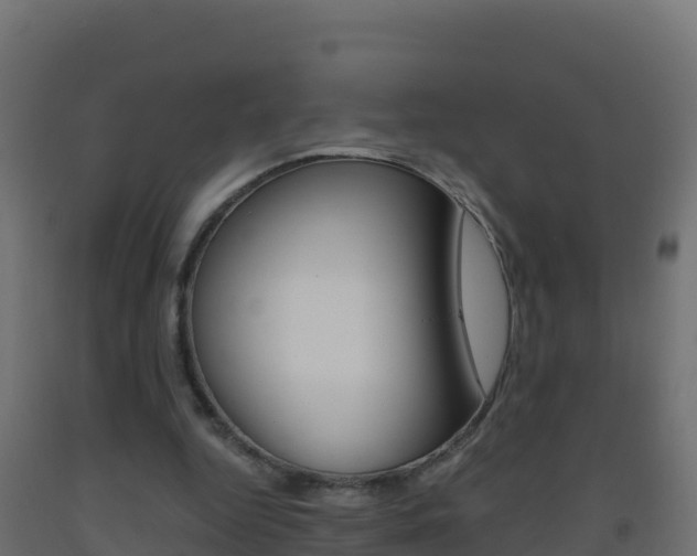 X0000093510344200710121107