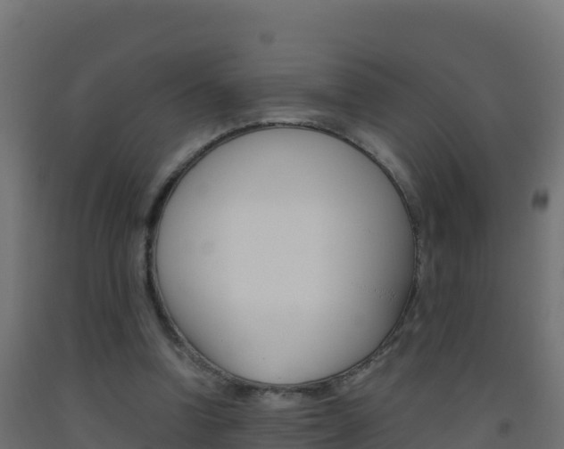X0000093510346200710121107