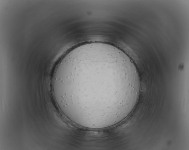 X0000093510347200710121107